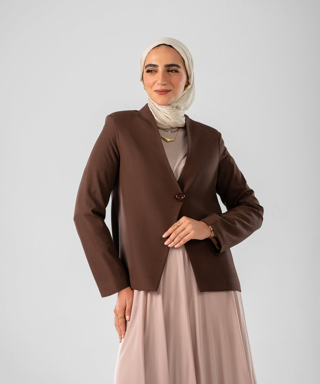 V Blazer ( Brown )